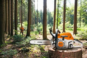 stihl mtronic 300x200