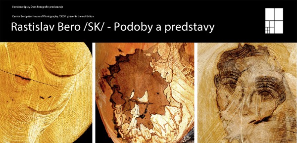 sas vystavy februar14 Podoby a predstavy