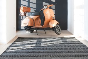 papilio 300x200