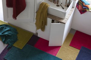 vivaraise 300x200