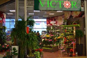 kvetyvictor 300x200