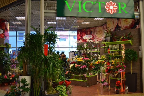 kvetyvictor uvodny