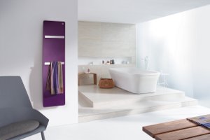 zehnder 300x200
