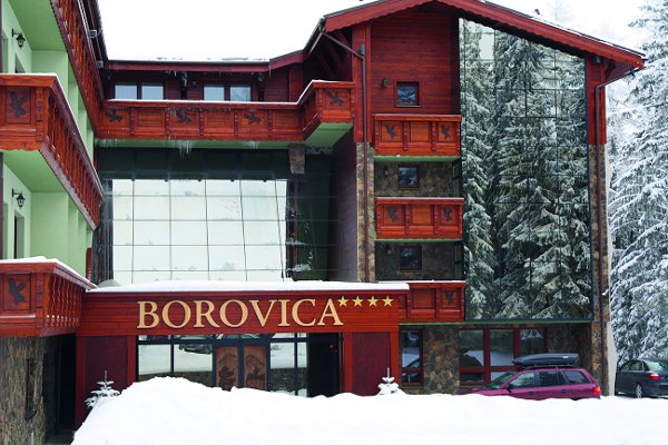 agp 03 borovica