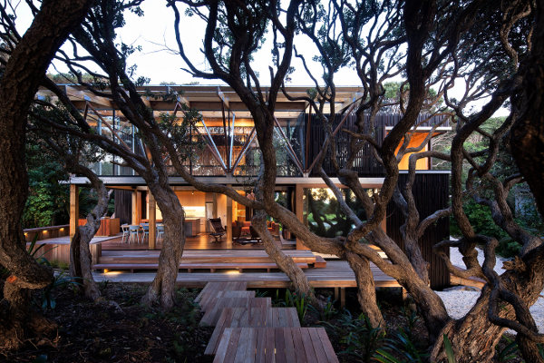pohutukawa 01