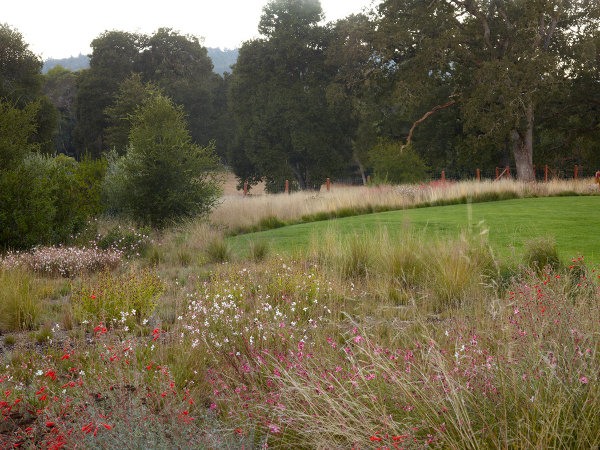 woodside 08