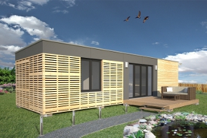 bory 300x200