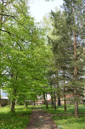 kastielgbelany 03
