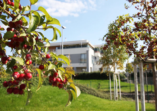 senec gardens 04