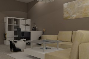 purginova 300x200