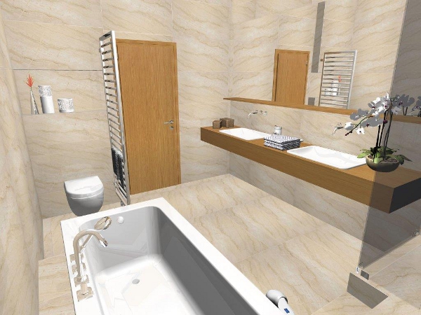 zehnder 02