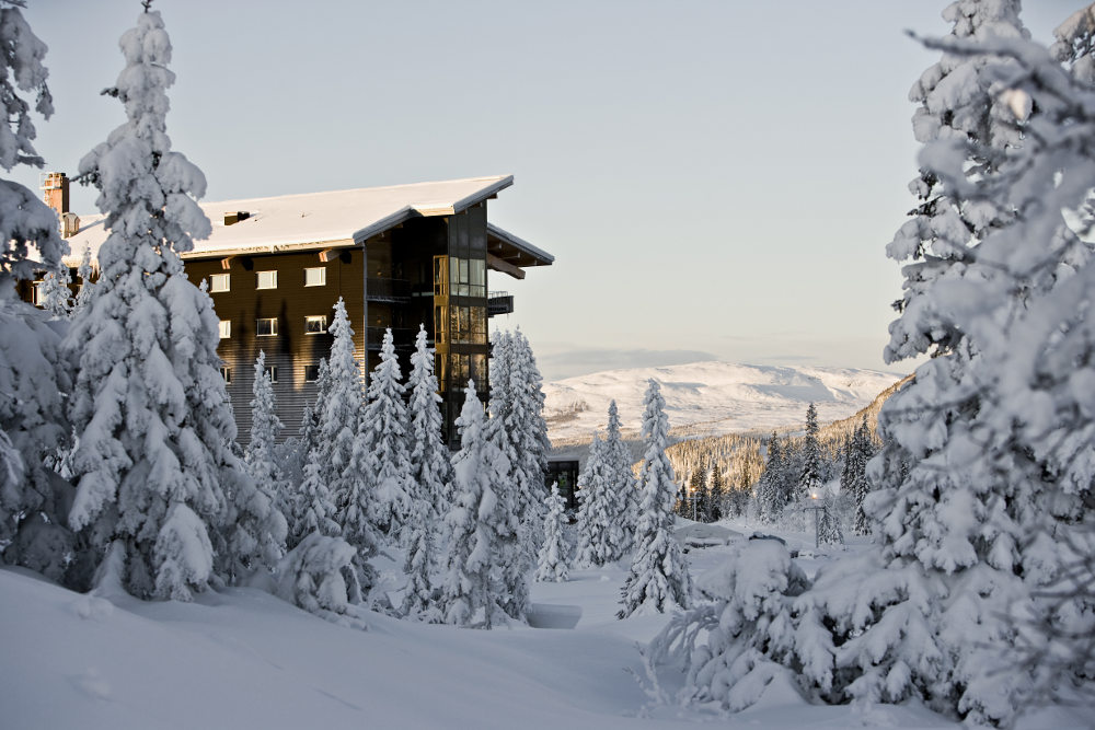 copperhill 01