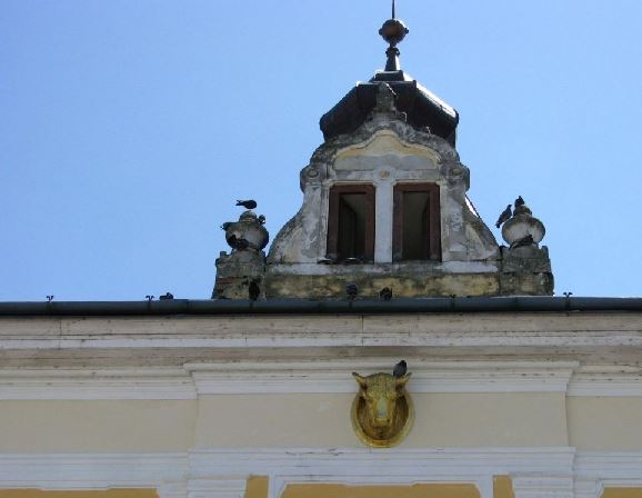 Snímkaasdf
