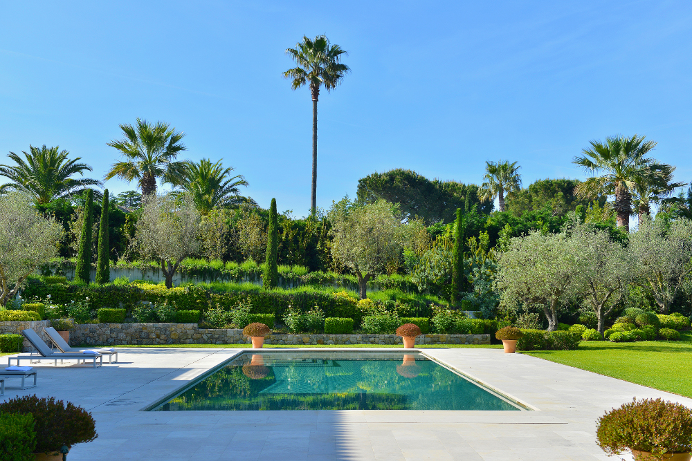 6 Pool with palm