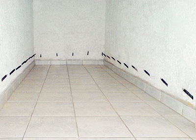 Active Image