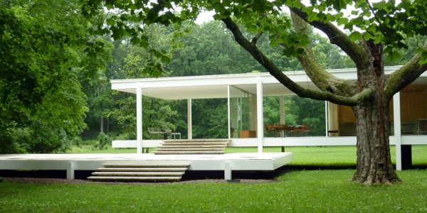 Mies 03