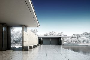Mies 300x200