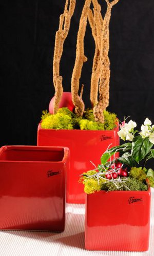 Paramit_05