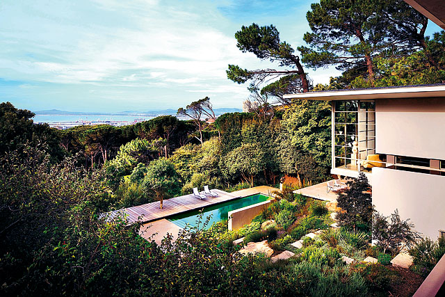 062-Fynbos_garden_and_natural_swimming_pool_copy