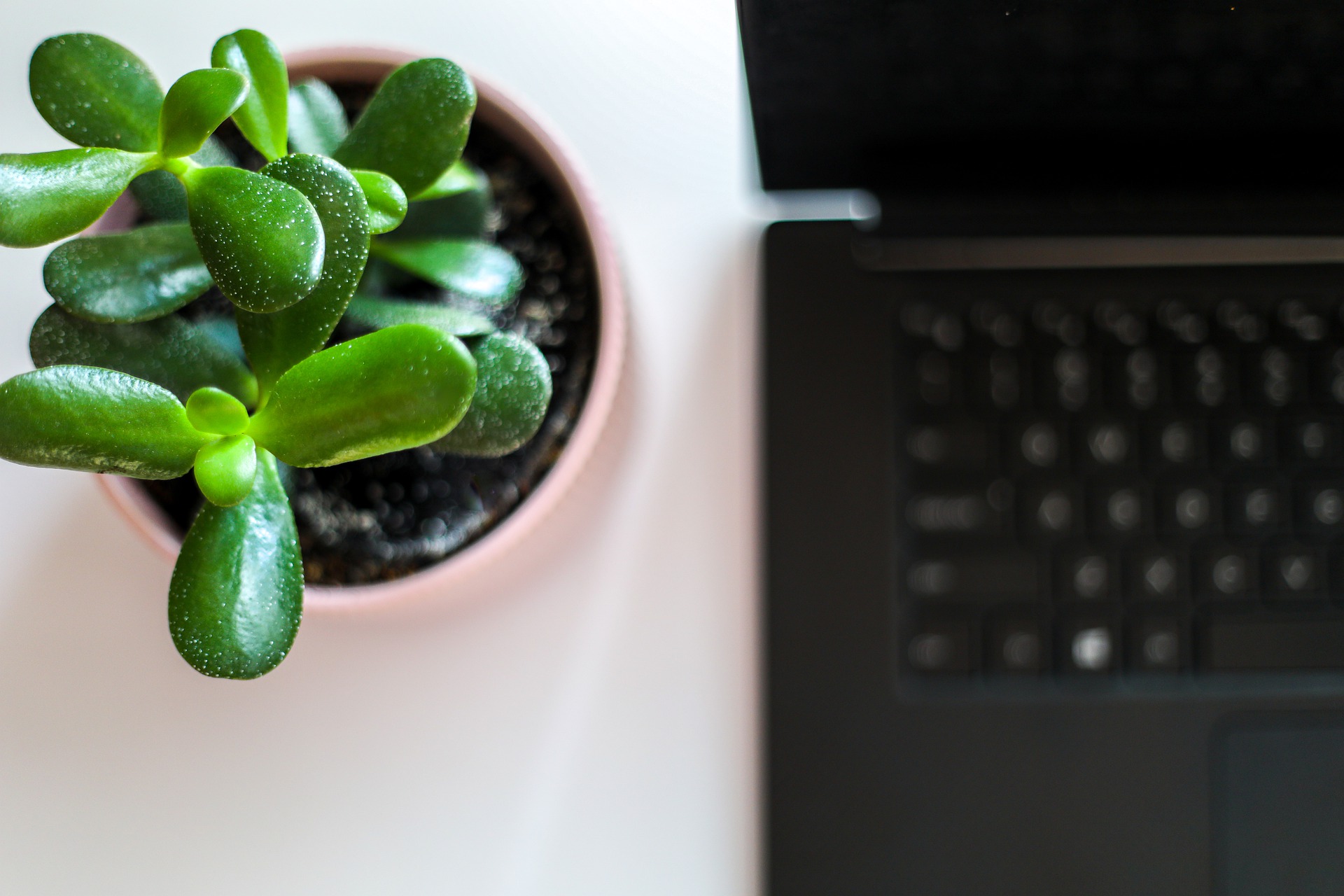 Práca v čase korony: vytvorte si príjemný home office Práca v čase korony: vytvorte si príjemný home office